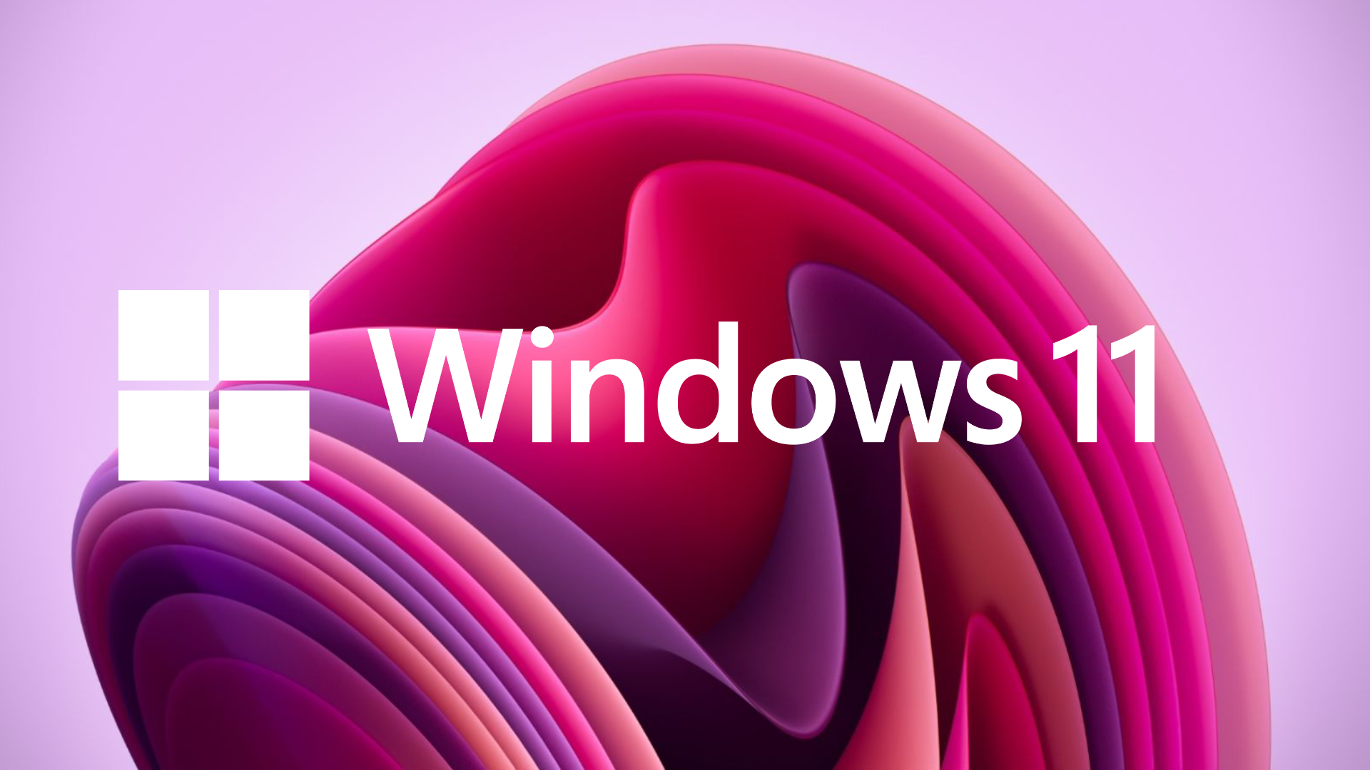 Windows 11 